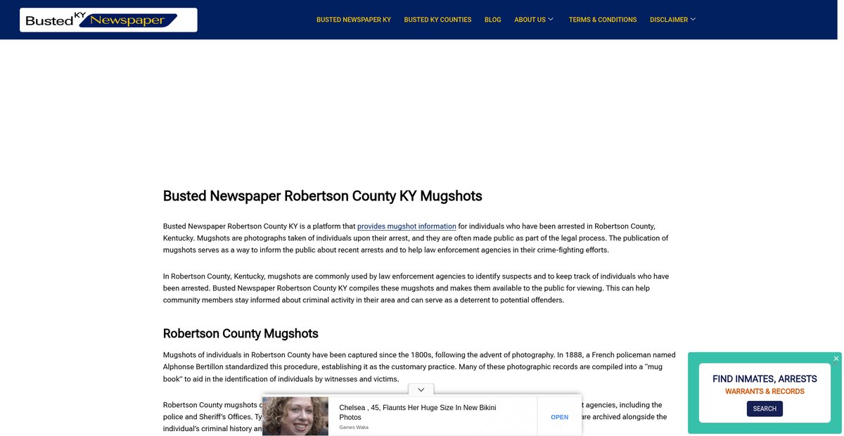 Preview of bustednewspaper-ky.com