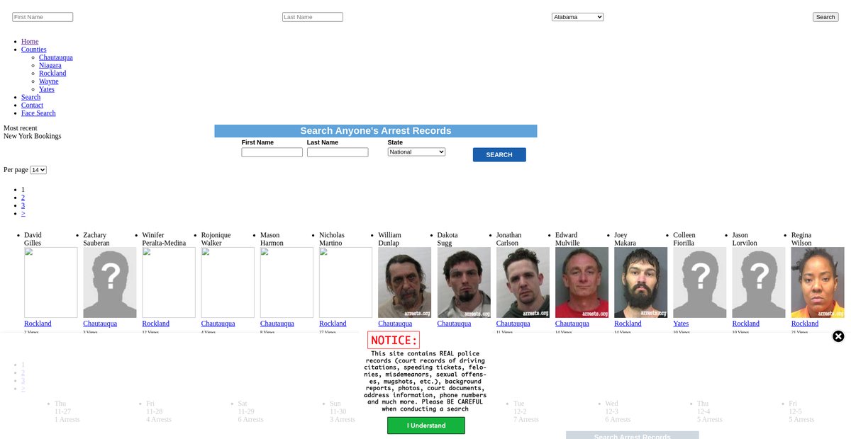 Preview of newyork.arrests.org