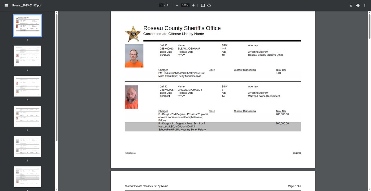 Preview of jailrosters.org