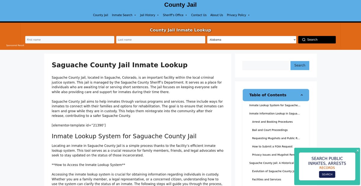 Preview of saguache.countyjail.org