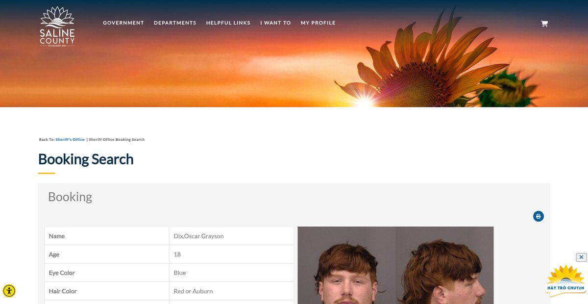 Preview of salinecountyks.gov