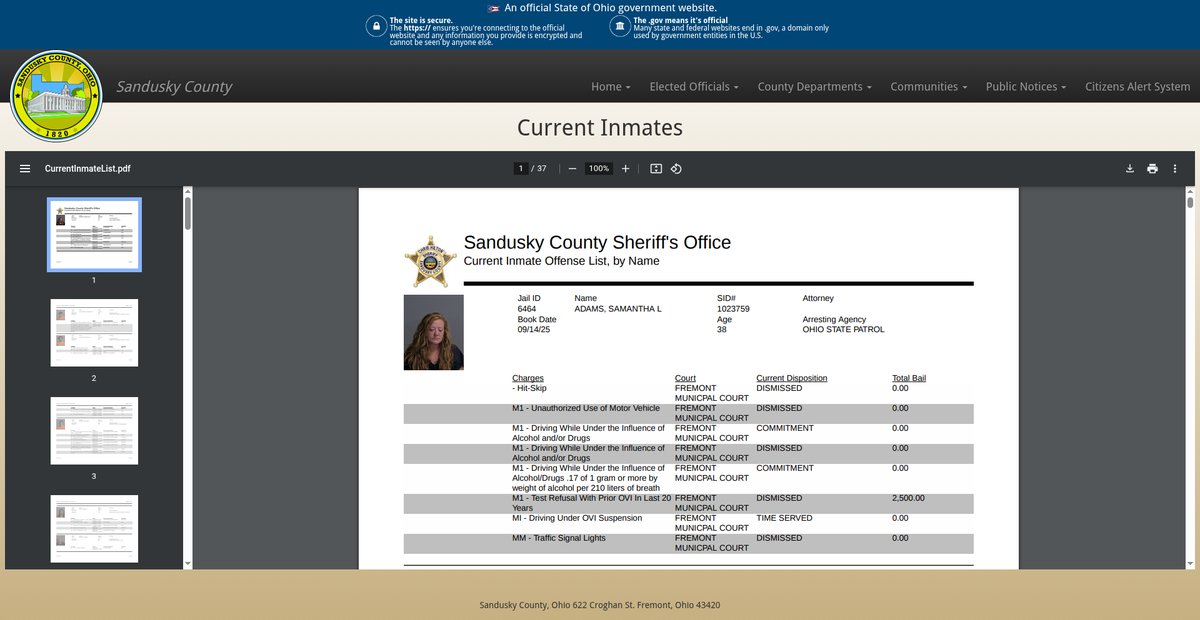 Preview of sanduskycountyoh.gov