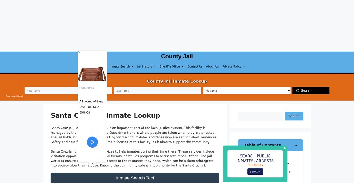 Preview of santa-cruz.countyjail.org