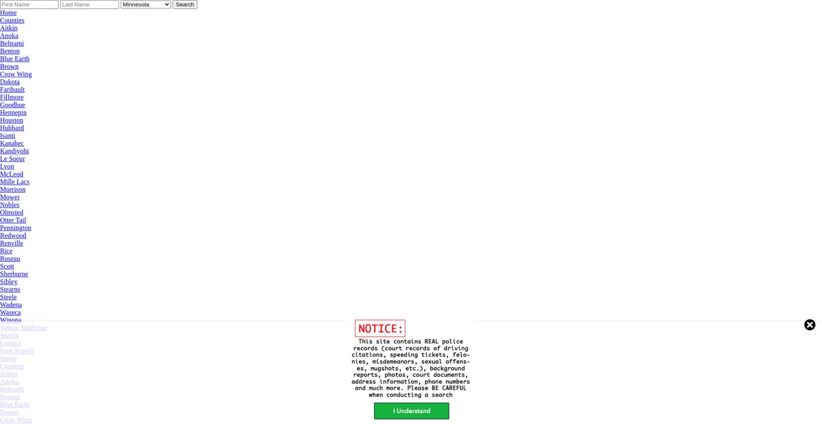 Preview of minnesota.arrests.org