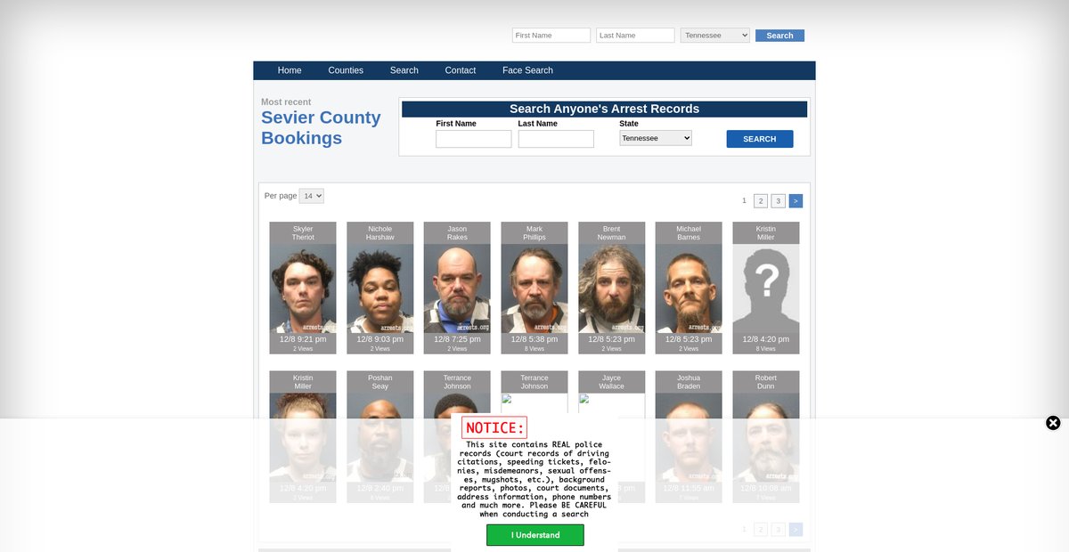 Preview of tennessee.arrests.org