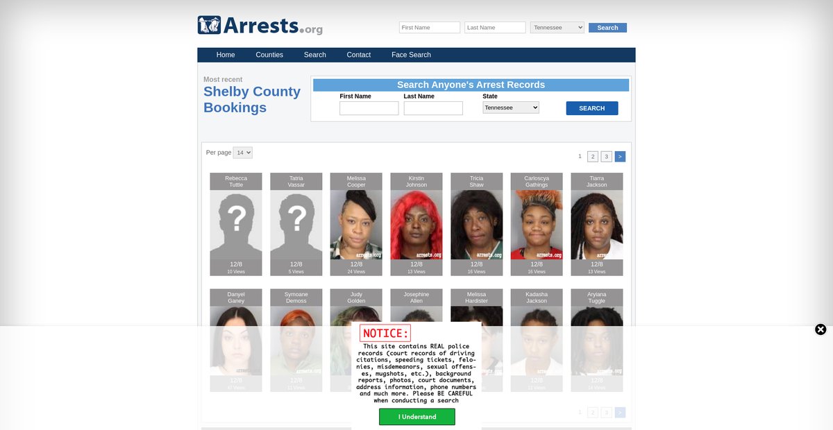 Preview of tennessee.arrests.org