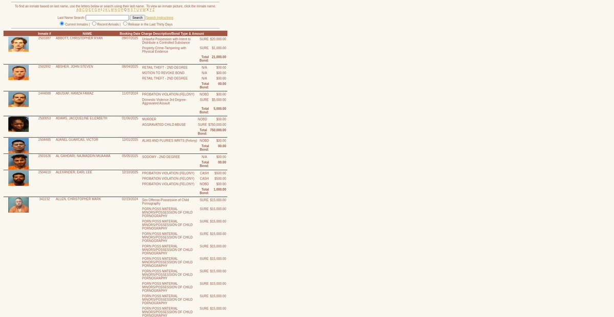 Preview of inmatelisting.shelbyal.com