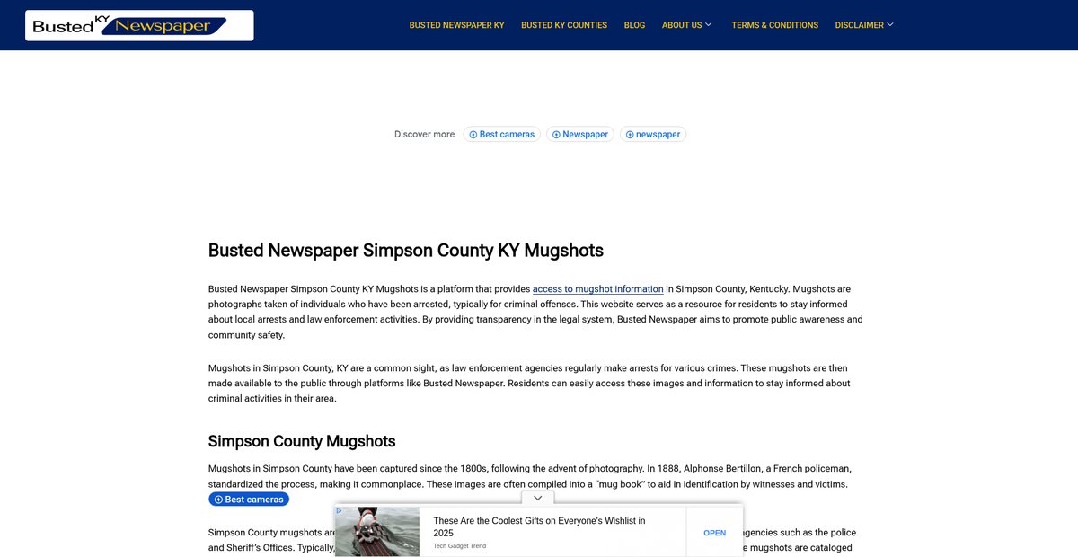 Preview of bustednewspaper-ky.com