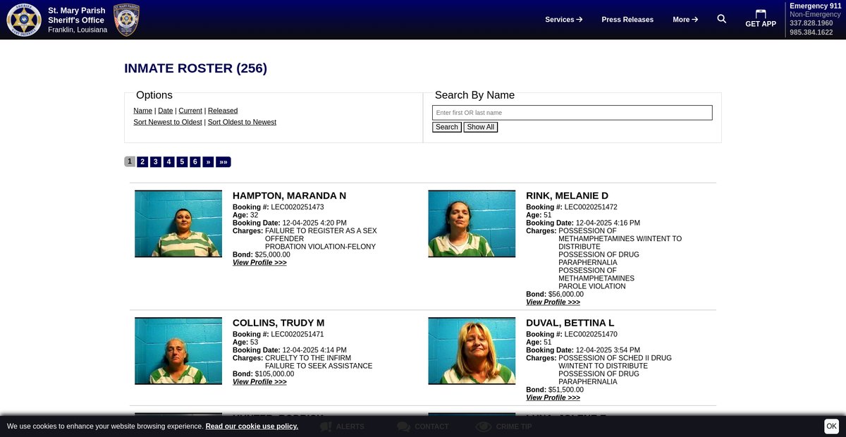 Preview of stmaryso.com