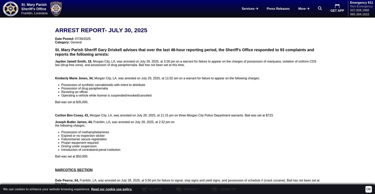 Preview of stmaryso.com