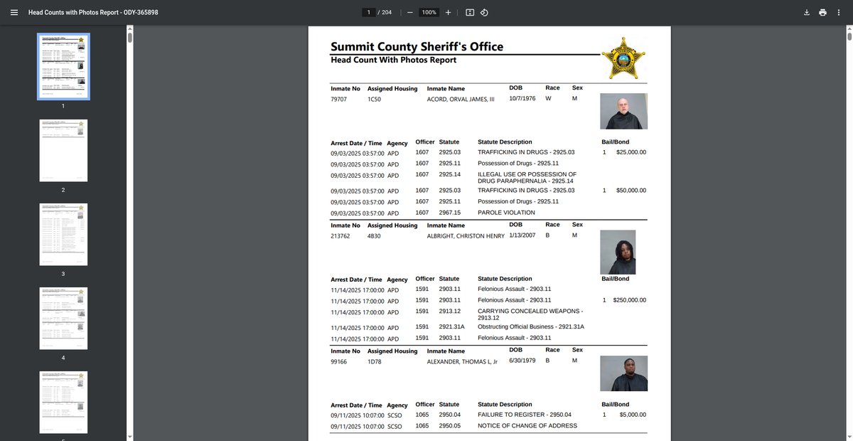 Preview of sheriff.summitoh.net
