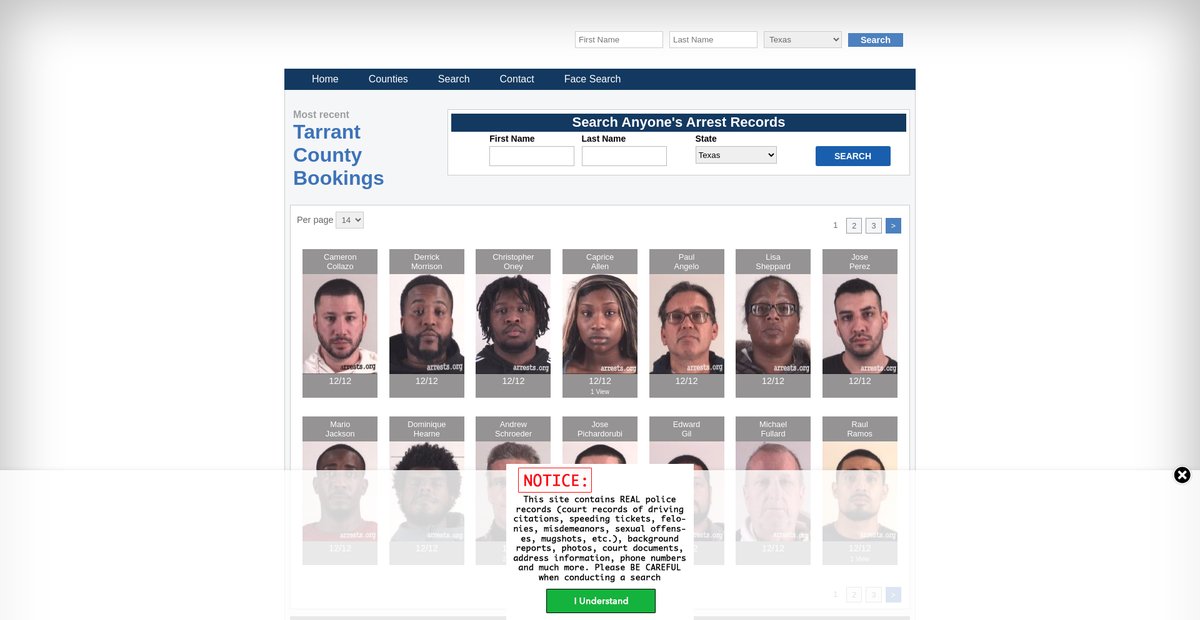 Preview of texas.arrests.org
