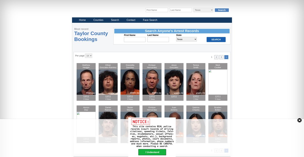 Preview of texas.arrests.org