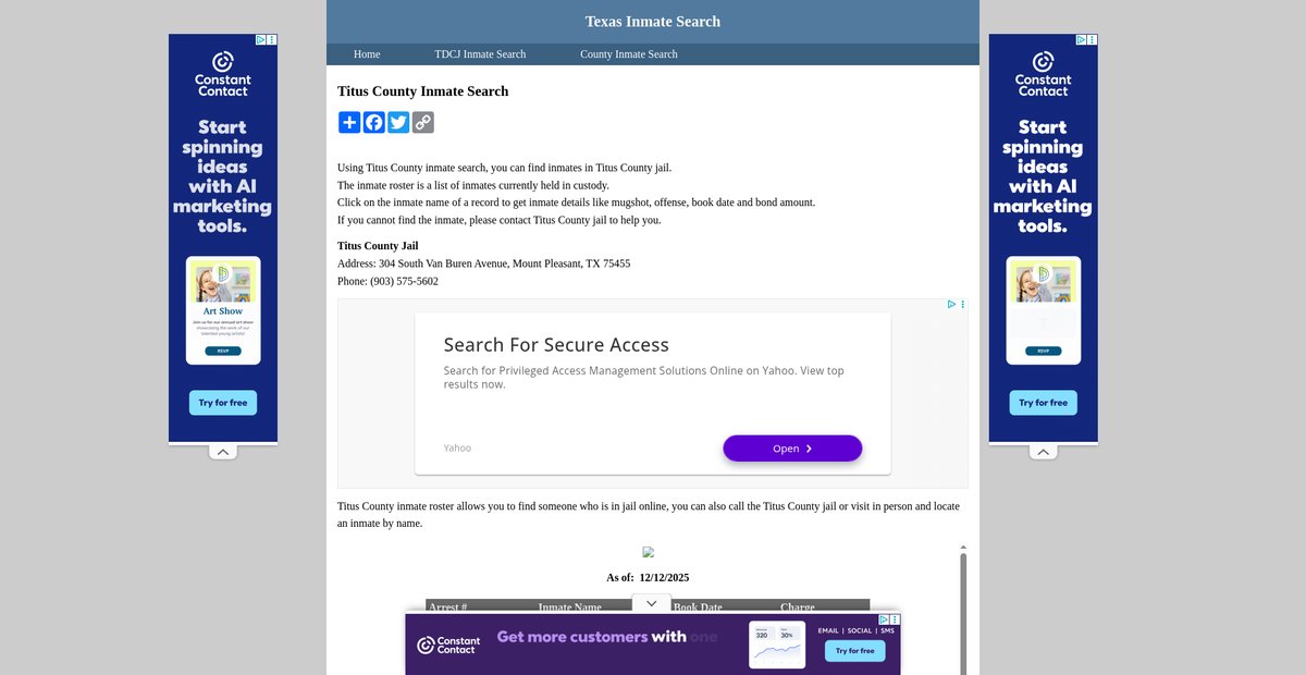 Preview of inmatesearchtexas.org