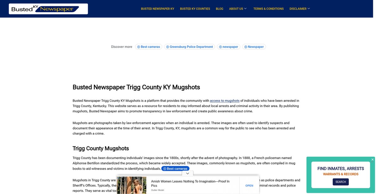 Preview of bustednewspaper-ky.com