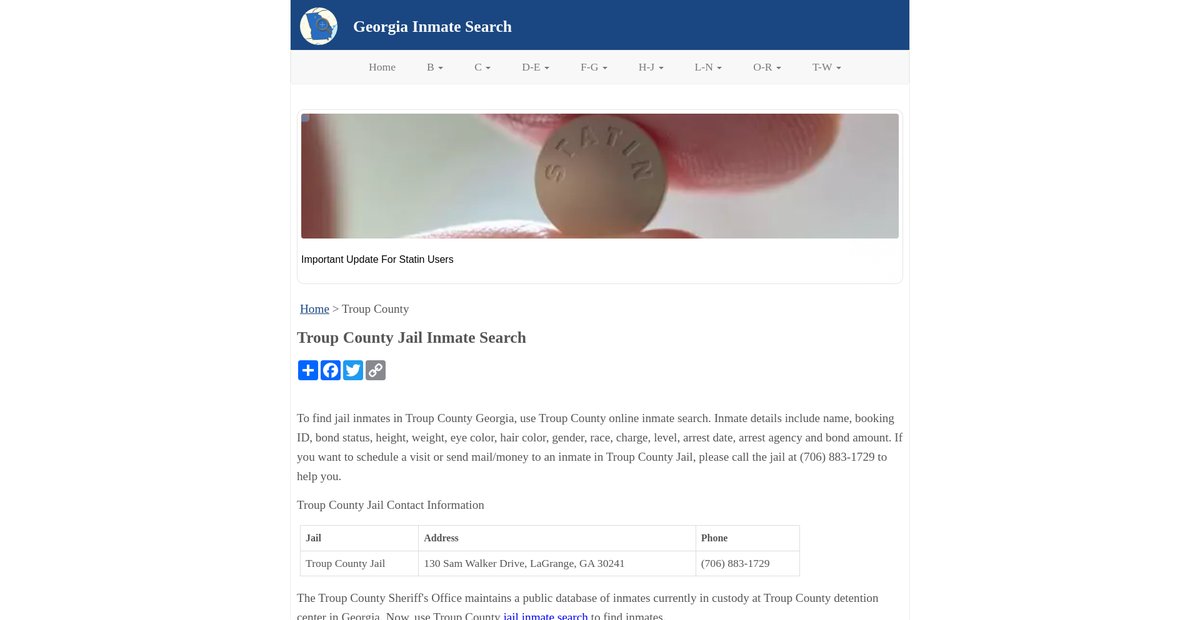 Preview of inmatesearchga.org