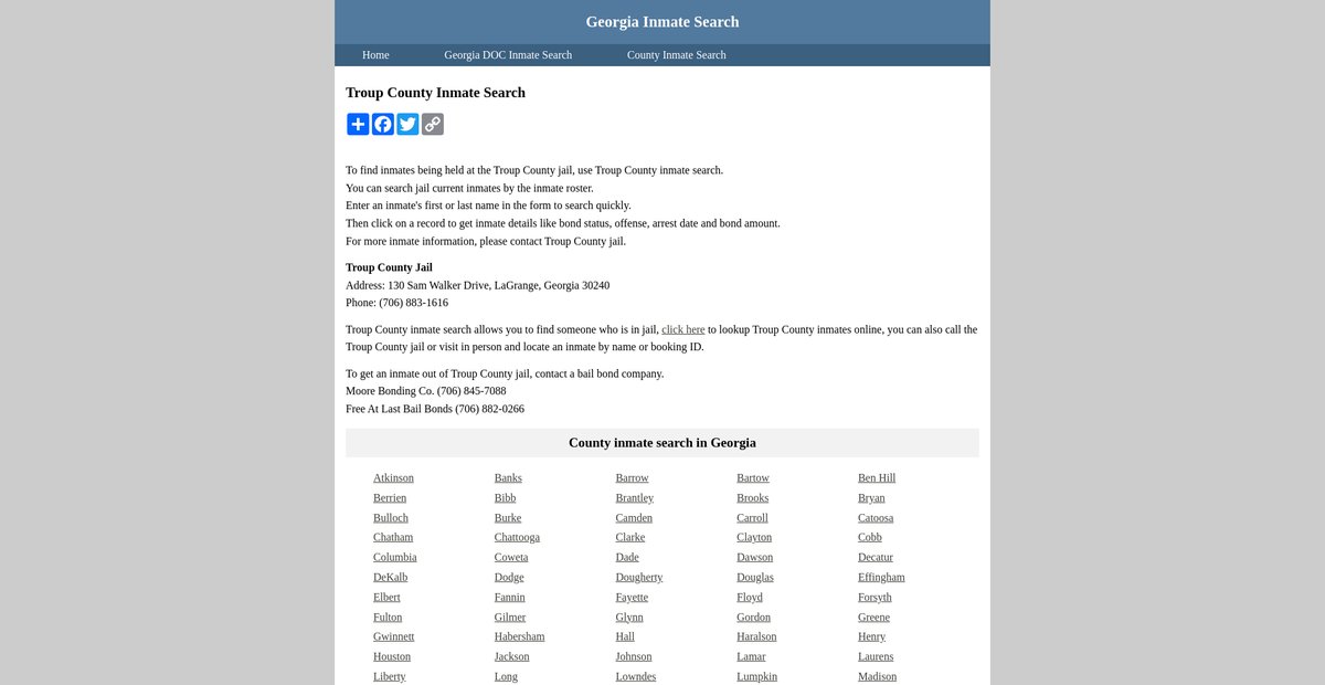 Preview of inmatesearchgeorgia.org