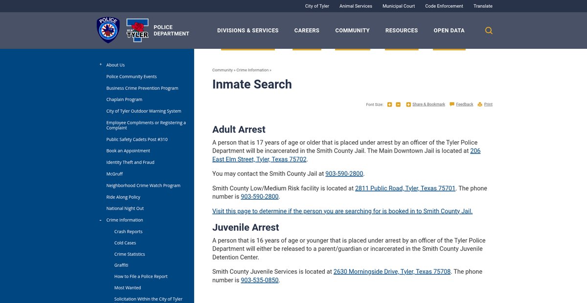 Preview of cityoftyler.org