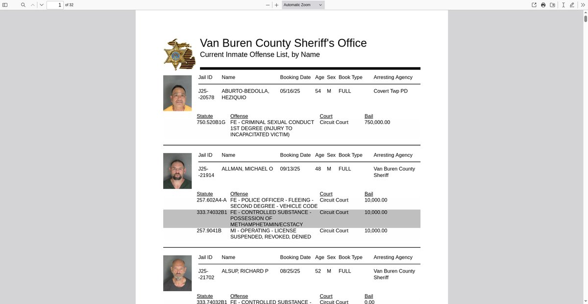 Preview of inmateroster.vanburencountymi.gov