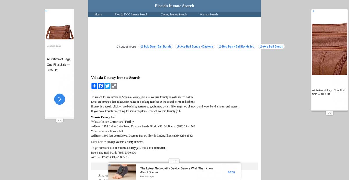 Preview of inmatesearchflorida.org