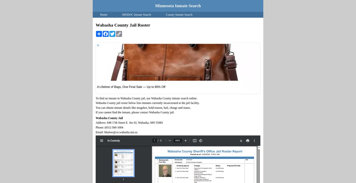 Preview of inmatesearchminnesota.org