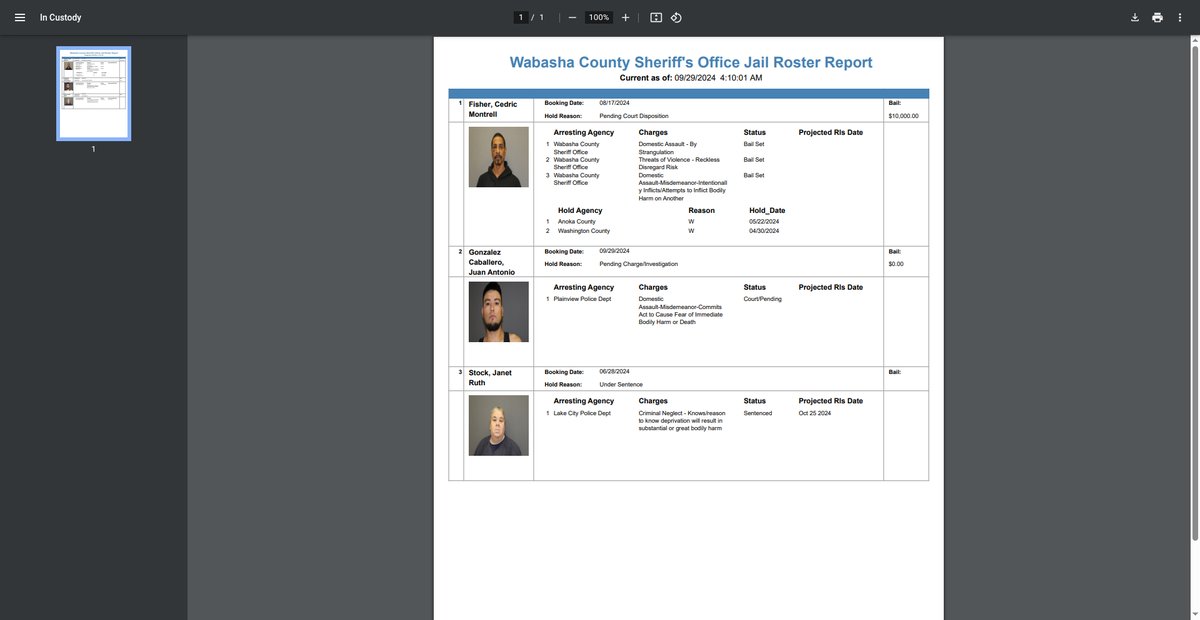 Preview of jailrosters.org