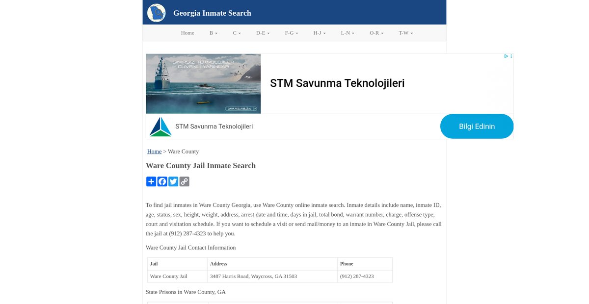 Preview of inmatesearchga.org
