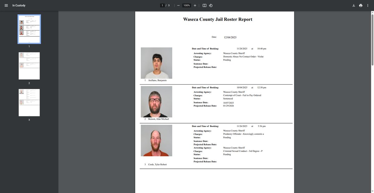 Preview of wasecacounty.gov