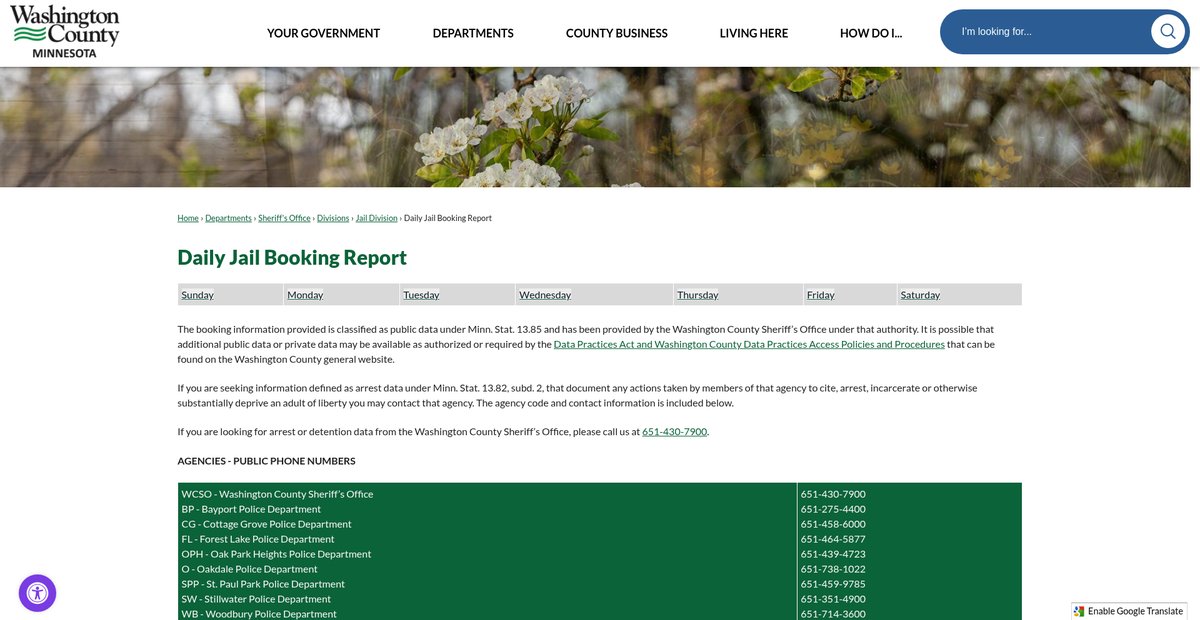 Preview of washingtoncountymn.gov