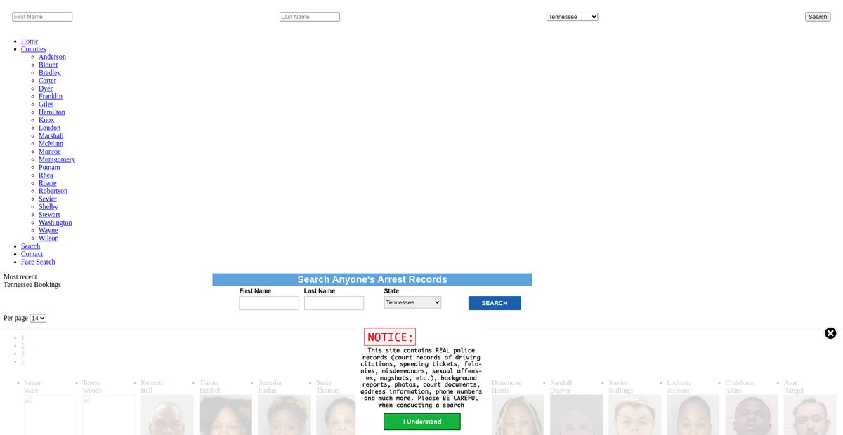 Preview of tennessee.arrests.org