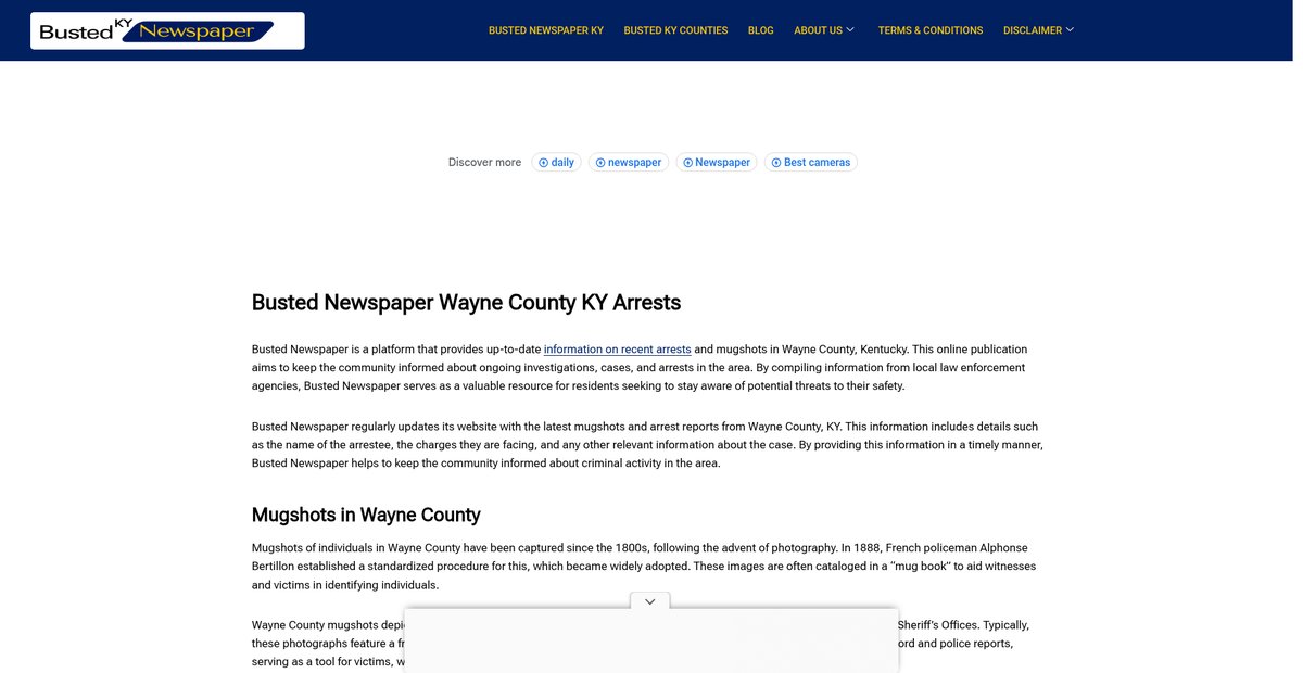 Preview of bustednewspaper-ky.com