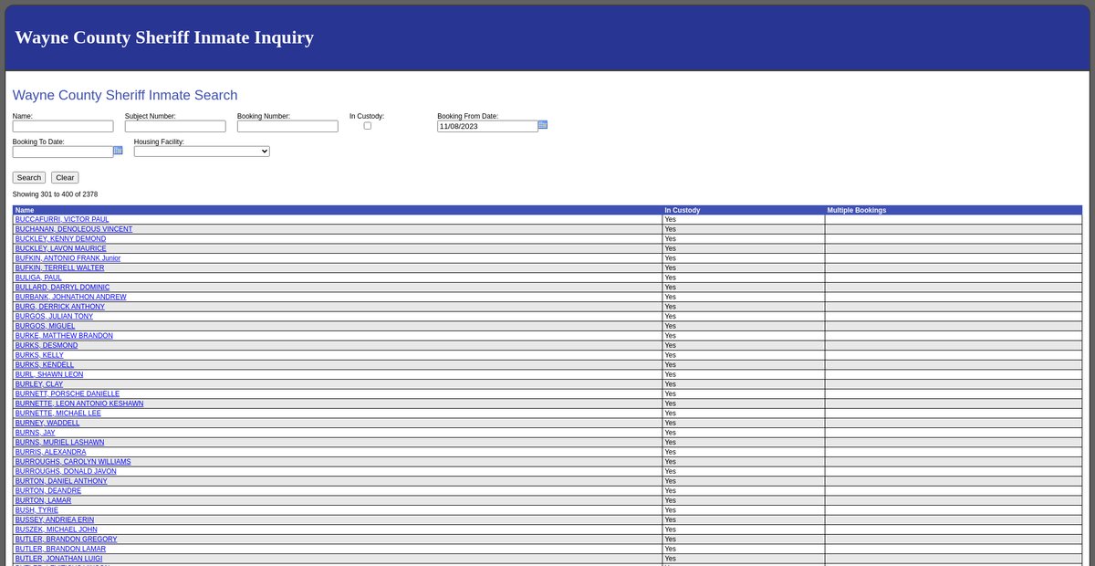 Preview of inmateinquiry.waynecounty.com