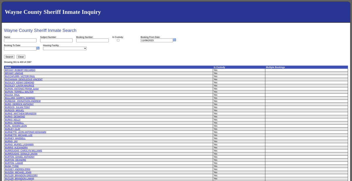 Preview of inmateinquiry.waynecounty.com