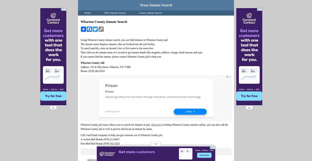 Preview of inmatesearchtexas.org