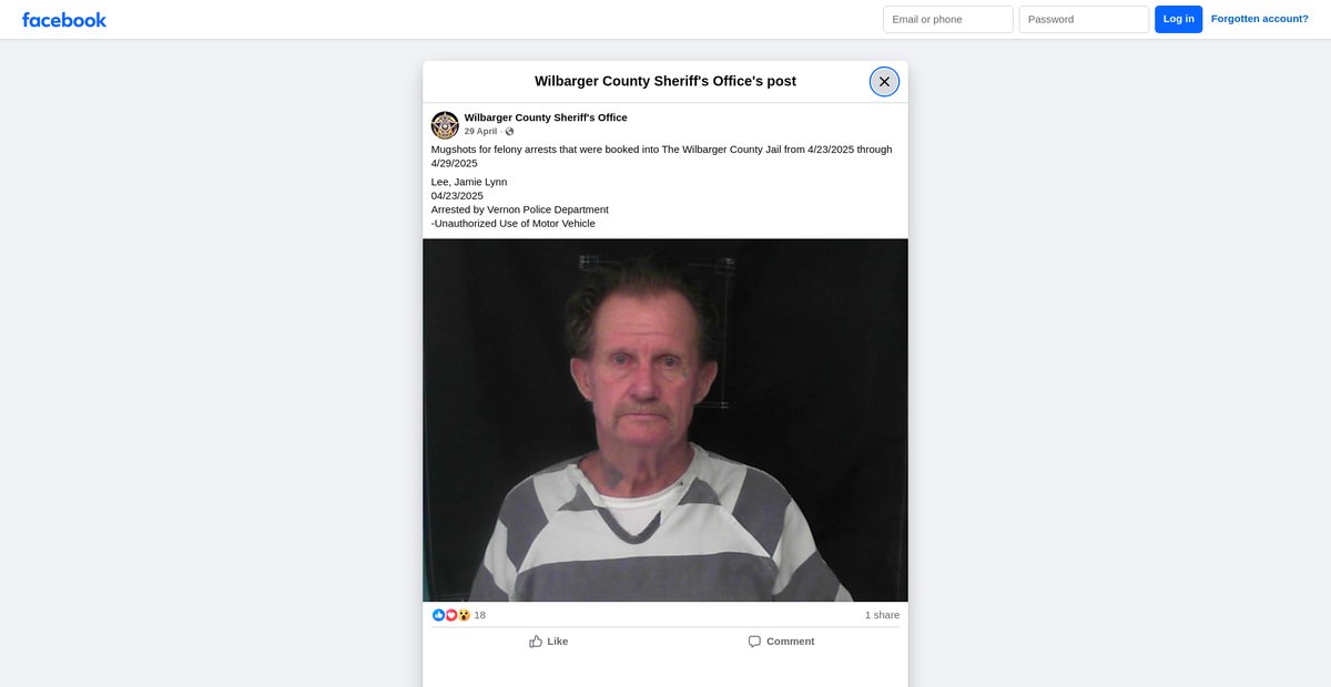 Preview of facebook.com