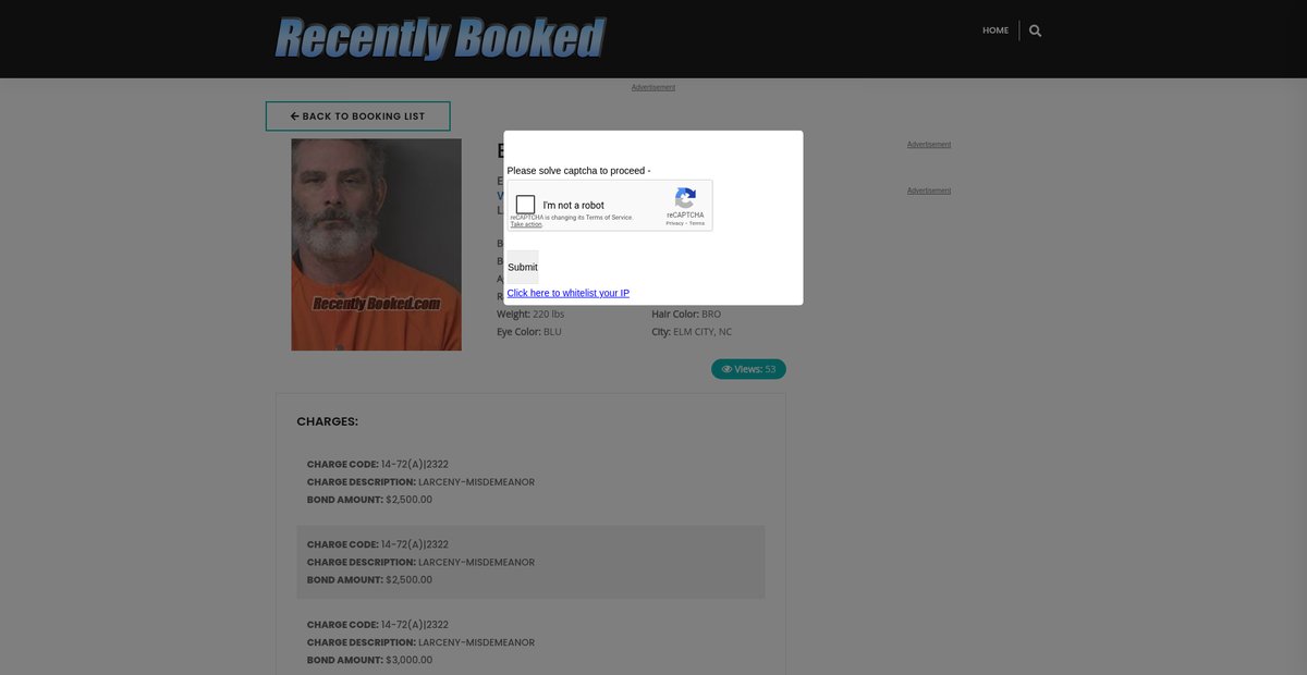 Preview of recentlybooked.com