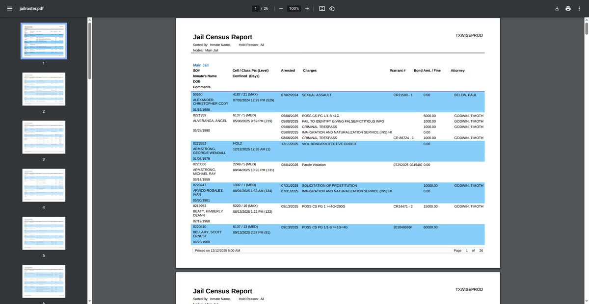 Preview of jail.co.wise.tx.us