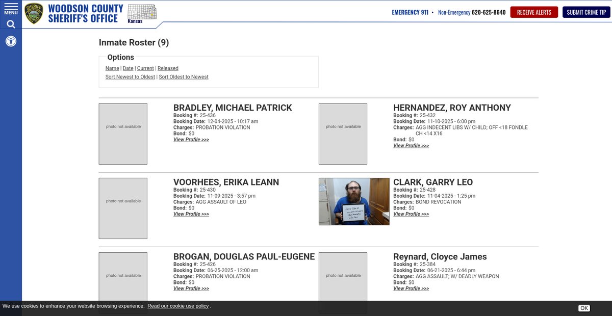 Preview of woodsonsheriff.com